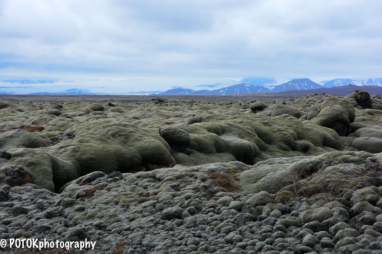 Iceland-Mossy-lava-0145.JPG