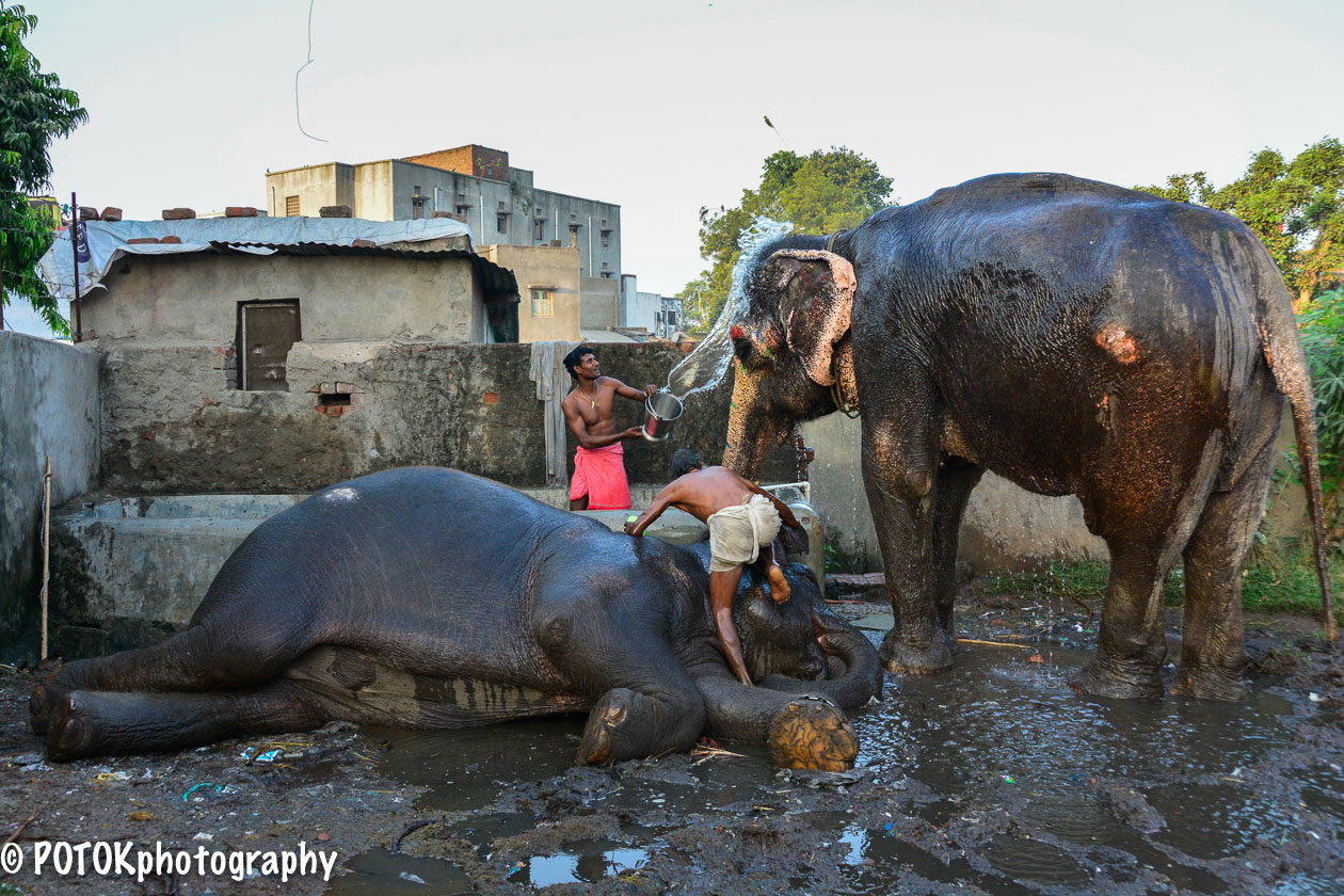 India-2270.JPG