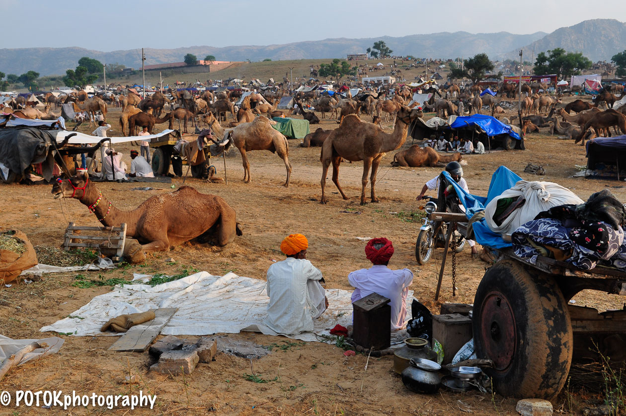 Pushkar-Camel-fair-2175.JPG