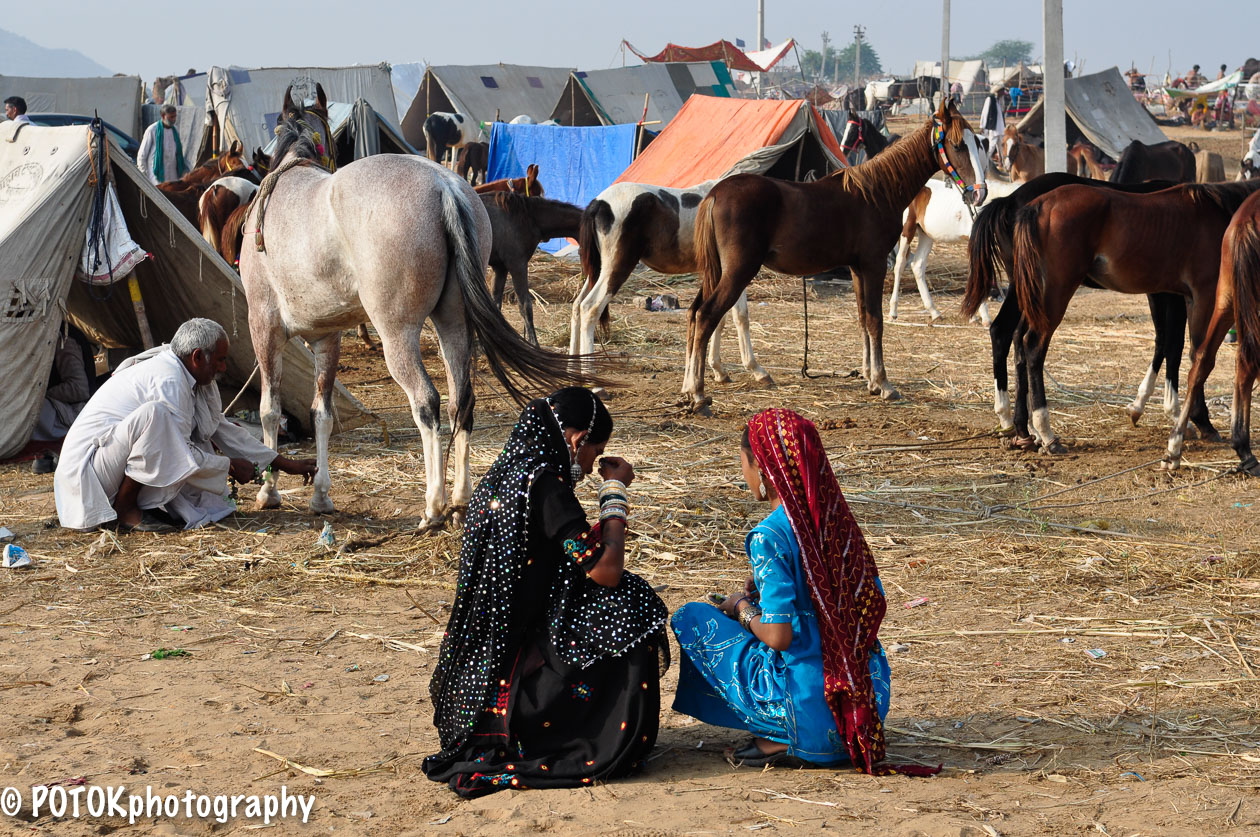 Pushkar-Camel-fair-2279.JPG