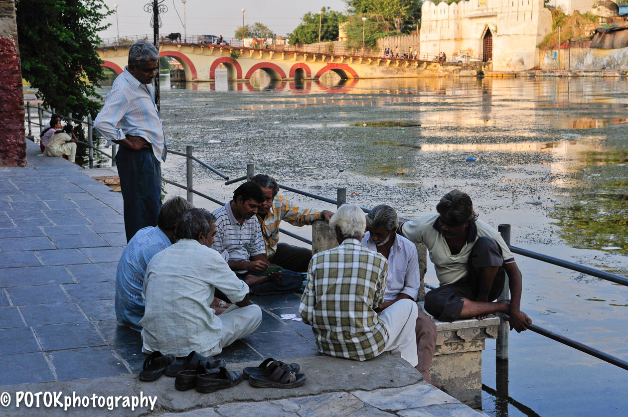 Playing-cards-in-Udaipur-3249.JPG