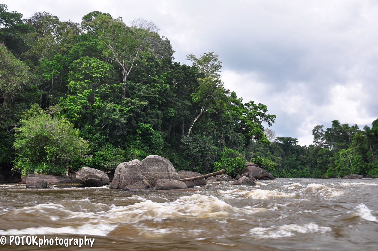 Suriname-rivier-0088.JPG