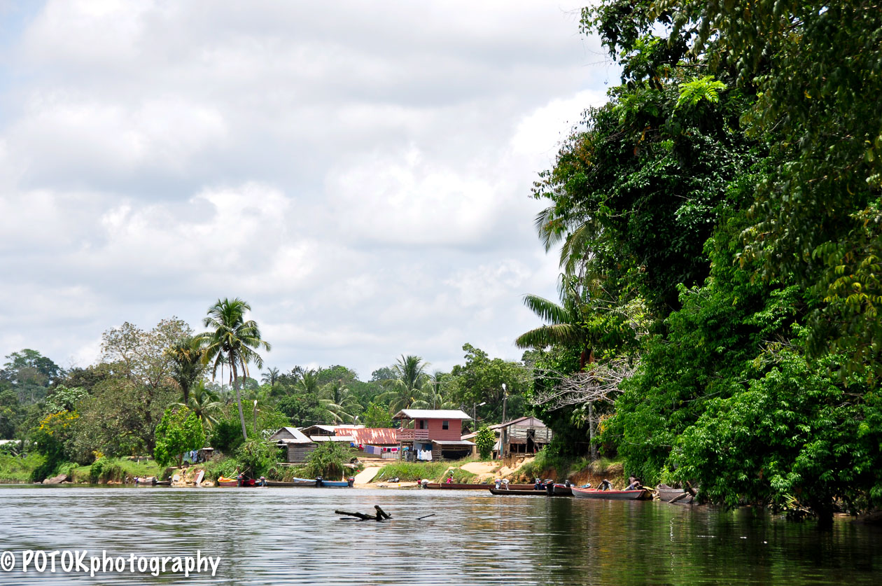 Suriname-rivier-0238.JPG