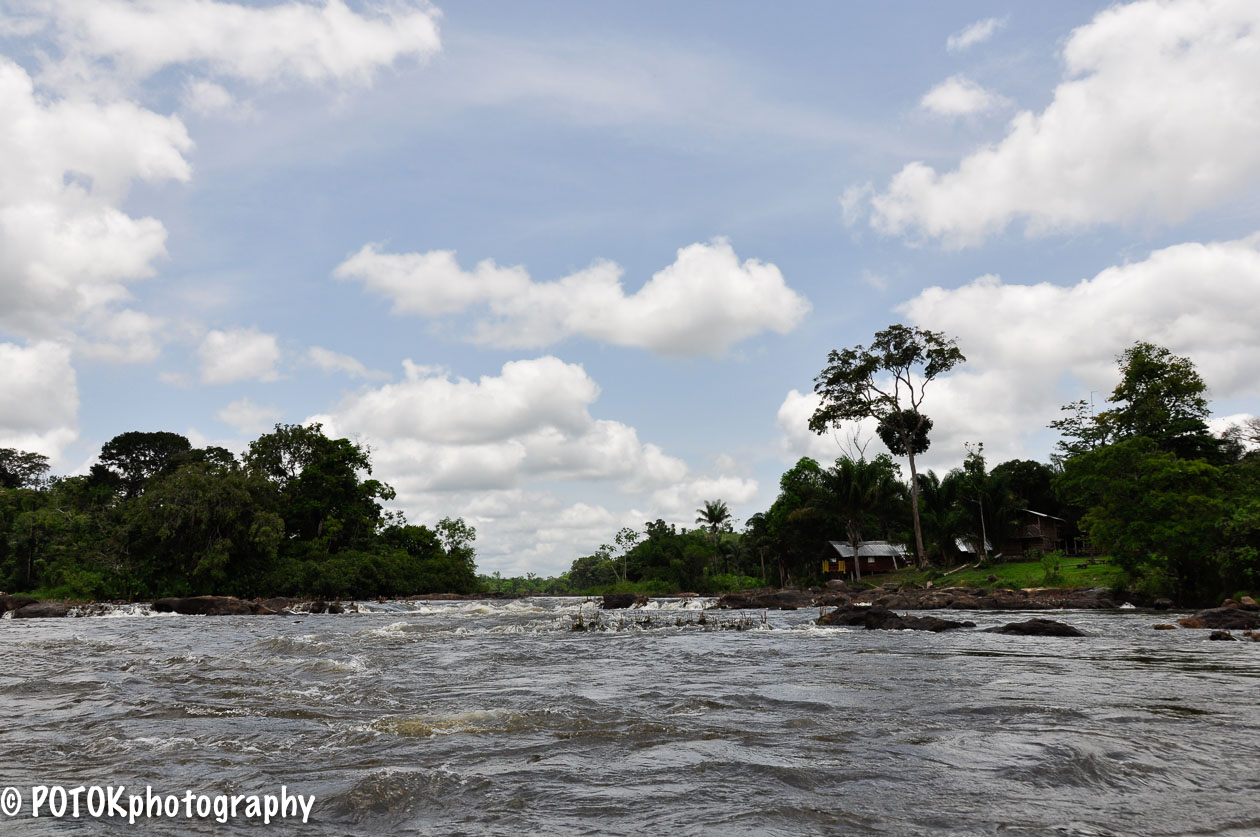 Suriname-rivier-0239.JPG
